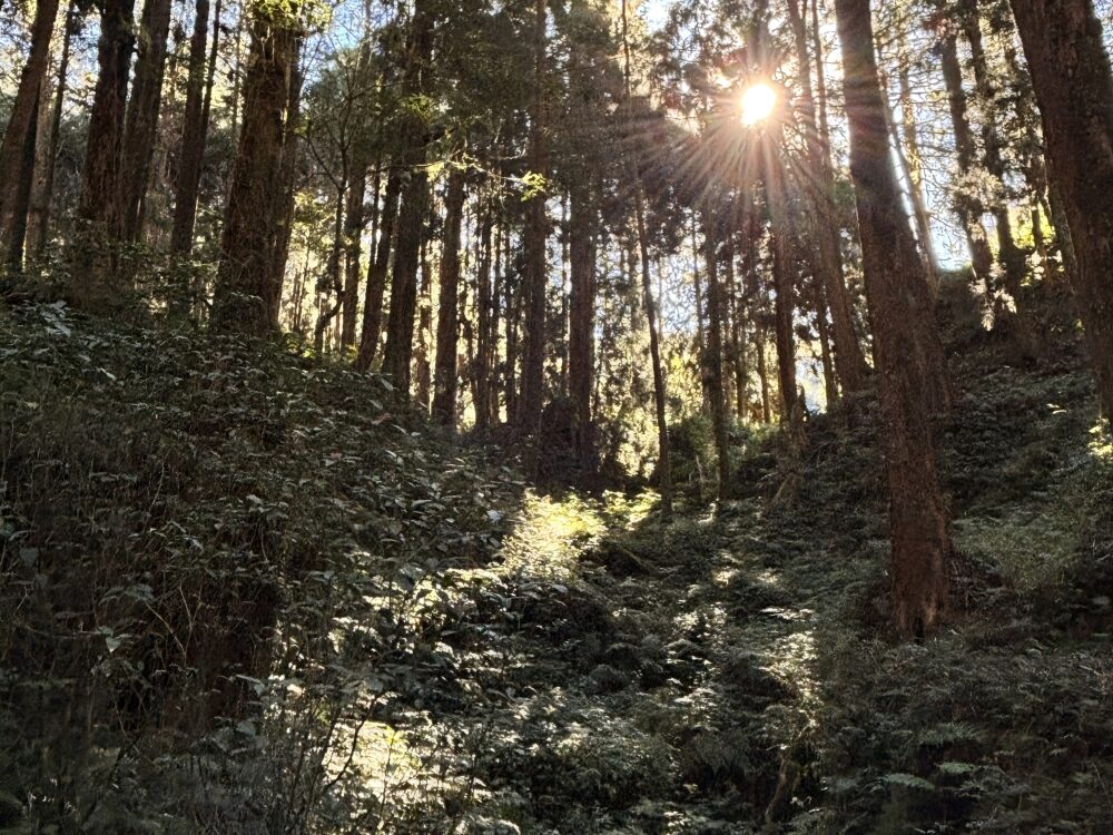 【身體說，我在聽】1:1 直覺藝術調頻療育